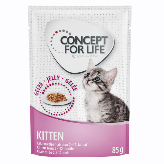 Concept for Life Kitten - in Jelly - 24 x 85 g