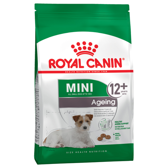 Royal Canin Mini Ageing 12+ - säästöpakkaus: 3 x 3,5 kg