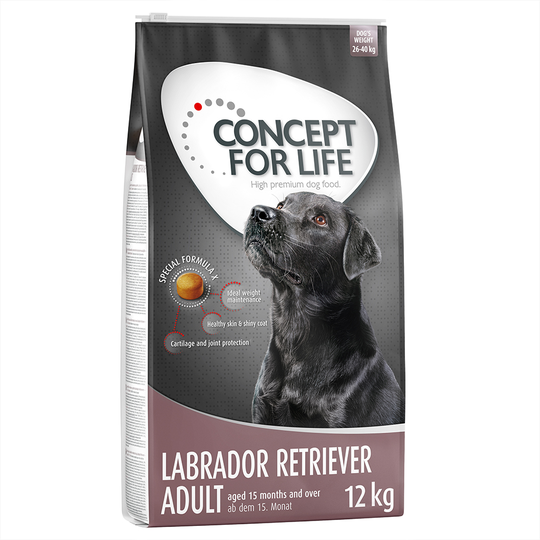 Concept for Life -säästöpakkaus - Labrador Retriever Adult (2 x 12 kg)